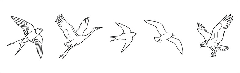 Obraz premium Diverse birds in flight during a clean white background representing freedom and nature vector illustration