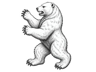 Fototapeta premium Polar Bear Standing on Hind Legs Illustration.