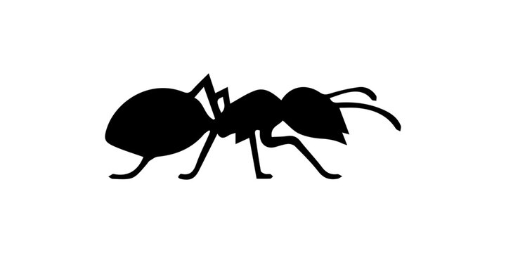 Ant Black Silhouette Vector Icon Isolated on White Background.