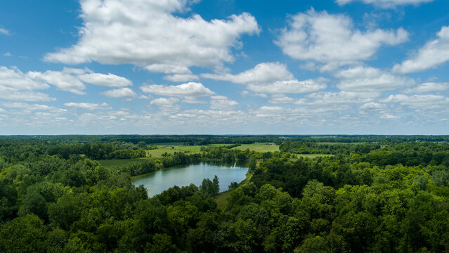 Aerial view tranquil lake surrounded by green forest