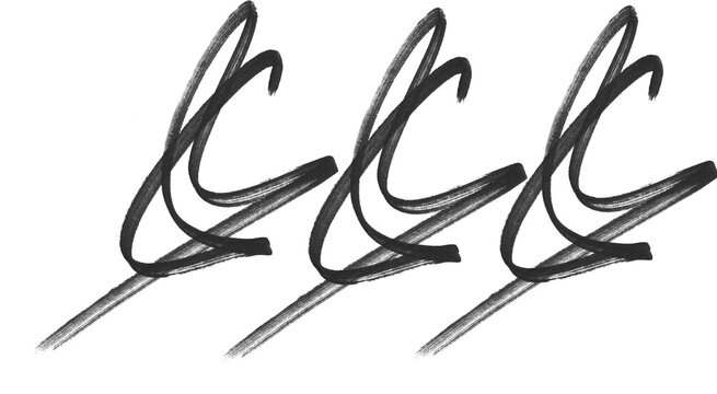 Signature Flourish Scribble Brushes &ndash; Elegant Calligraphy Swirl Strokes for Adobe Illustrator
