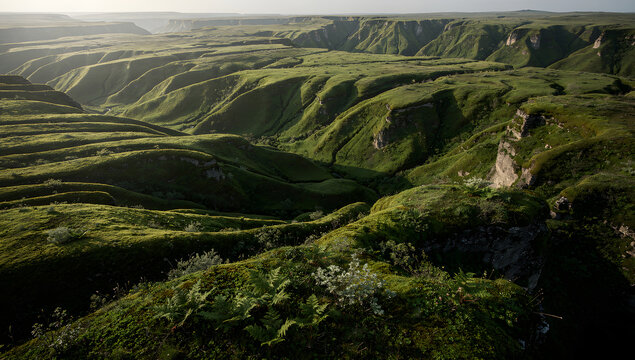 Majestic Rugged Green Canyon and Deep Ravines in Untouched Wilderness