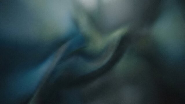 Colorful Blur Background