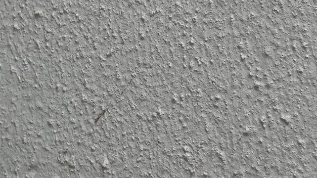 Textured concrete wall background