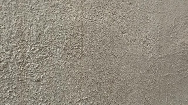 Mold and peeling paint on wall