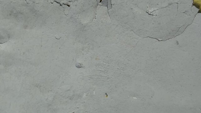 Cracked plaster texture with yellow material