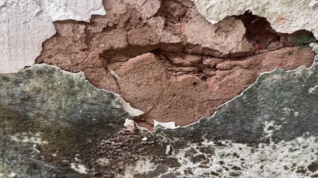 Cracked wall texture with mold