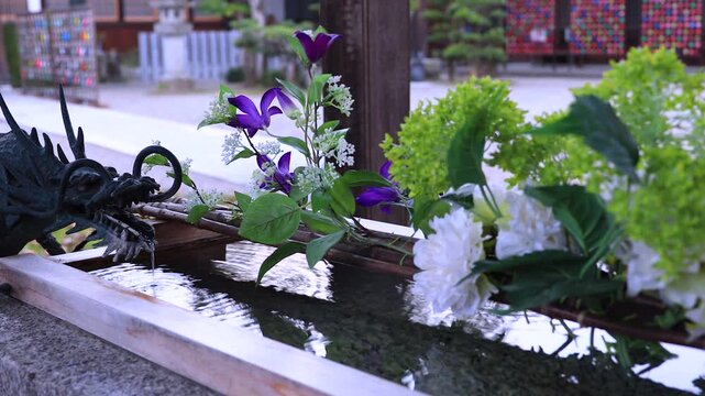 Flower Chozuya Short Clip | Japanese Shrine Water Basin