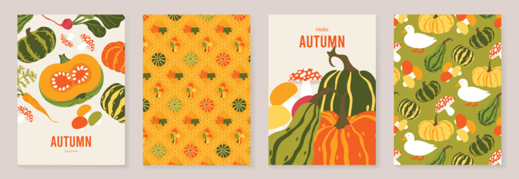 Autumn poster templates and patterns vector set. Seasonal fall illustrations with leaves, pumpkin, flowers and botanical elements for greeting card, cover, print, wall art and background.