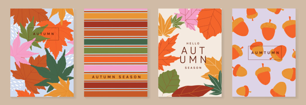 Autumn poster templates and patterns vector set. Seasonal fall illustrations with leaves, pumpkin, flowers and botanical elements for greeting card, cover, print, wall art and background.
