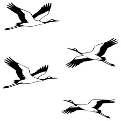 Naklejka premium Flying cranes silhouette illustration. Minimalist flock of birds in flight graphic design.