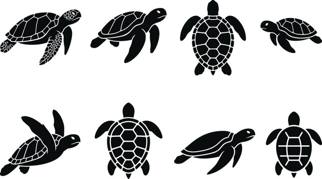 Set of eight black silhouettes of sea turtles swimming in different directions and poses, isolated on a white background, set