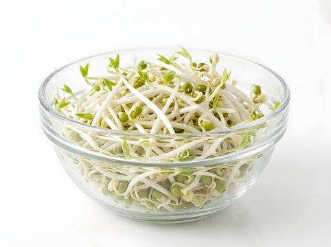 Fresh sprouted mung beans in glass bowl