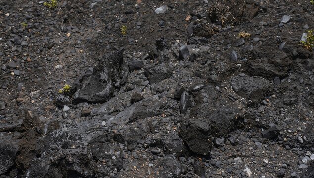 Rough Black Volcanic Ash and Rocks with Sparse Green Vegetation