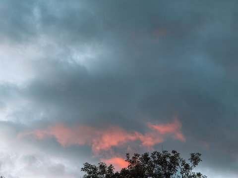Dramatic evening storm clouds with pink sunset light over tree silhouette.