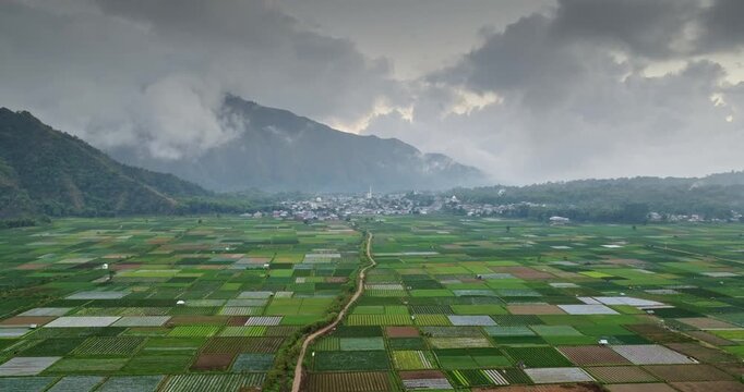 Vibrant green mosaic of agricultural farmlands in Sembalun Valley. Nestled beneath the imposing cloud covered mountains of the Gunung Rinjani National Park in Lombok, Indonesia. Aerial drone flight