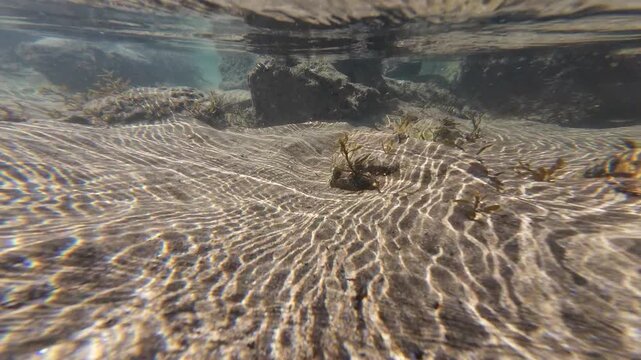 Underwater Slow Motion Swimming Thru Shallow Ocean