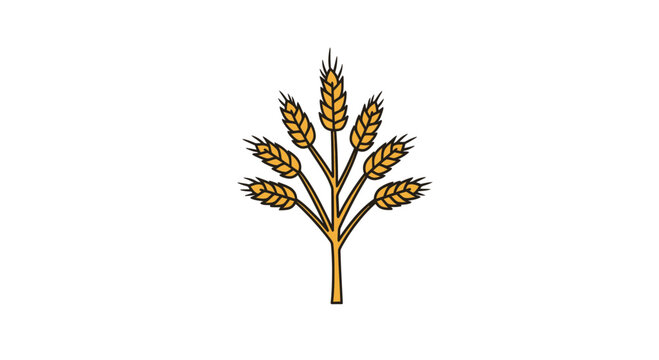 Golden wheat ear with multiple grain stalks