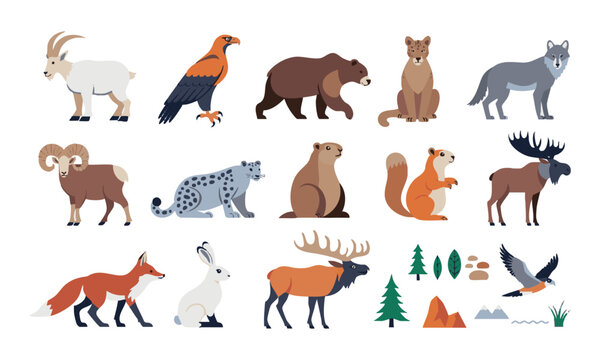 Forest And Mountain Wildlife Animals.