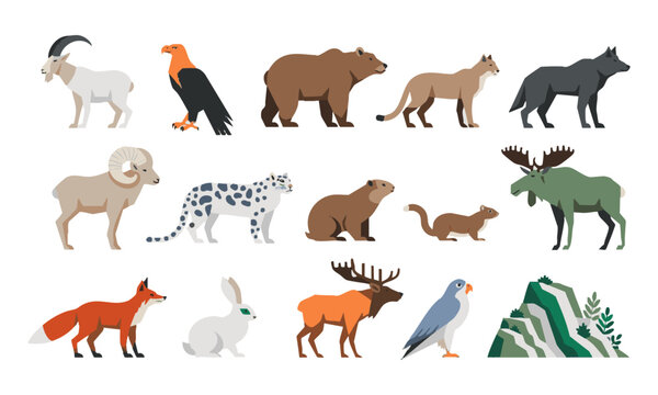 Mountain Wildlife Flat Illustration Collection.