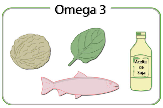 Alimentos con aporte de omega3. Estos son: la nuez, la espinaca, el salmon rosado y el aceite de soja