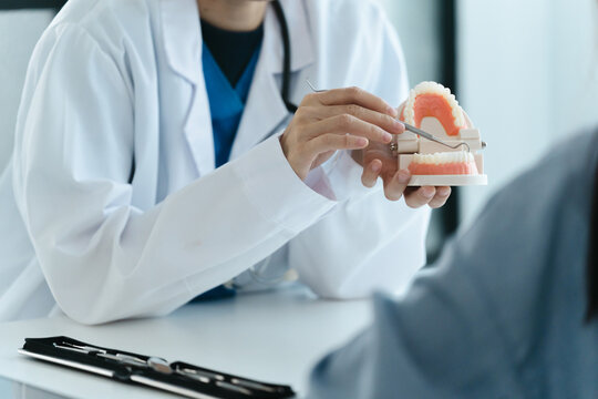 Dentist holding tooth model White healthy tooth, Doctor doing dental treatment&nbsp;
