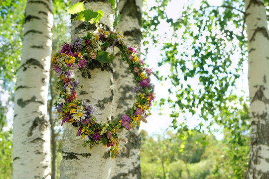 wreath of meadow flowers hanging on birch tree, natural background. beautiful floral decor for Summer Solstice Day, Midsummer, Litha, Ligo Night. pagan witch traditions, wiccan symbol, magic ritual