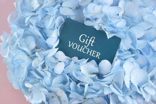 Blue Gift voucher with flowers on a light background