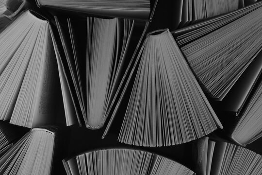 Lots of books. Educational theme. Learning concept