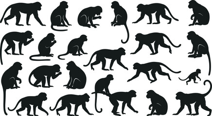 Monkey silhouette collection with various macaque and primate poses, jungle wild animal icons, exotic nature wildlife elements set, isolated monkey figures. © MstSumi