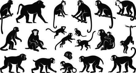 Monkey silhouette collection with various baboon and macaque poses, jungle wild animal icons, exotic nature wildlife elements set, isolated monkey figures. © MstSumi
