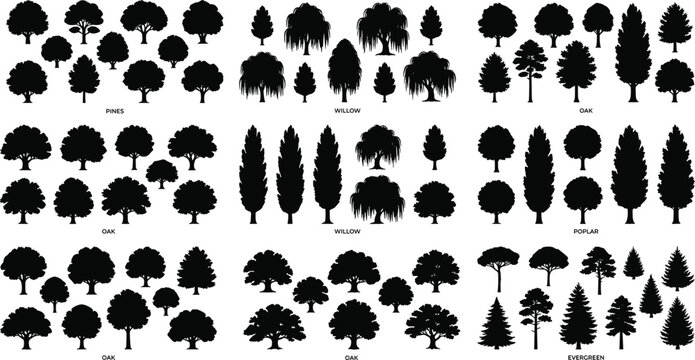 Set of black silhouettes of trees including pines, willows, oaks, poplars, and evergreens for landscape design