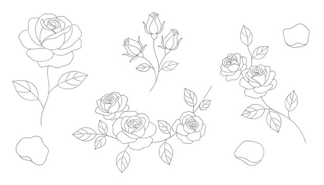 Rose flower dotted line drawing templates featuring full blossoms rosebuds leaf stems and fallen petals.
