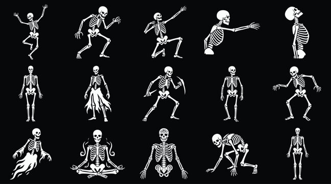 A comprehensive halloween vector bundle featuring a collection of detailed skeleton illustrations in various poses isolated on a solid black background design