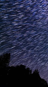 Vertical Shot Universe Star Trails of Summer Over Pine Forest Astrophotography Night Sky Time Lapse in California USA