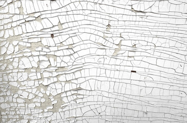 Fototapeta premium White cracked Paint Surface with curling peeling layers, exposed beige base and fine grey lines. Abstract distressed grunge Texture Background with fractured pattern and closeup detail.