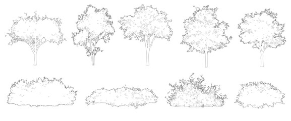 Obraz premium Vector set of trees and bushes in elevation view for use in architectural drawings 