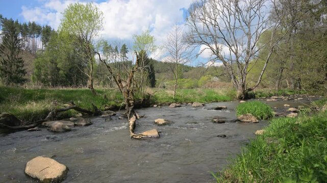 relaxing view on a flowing creek with nature sounds