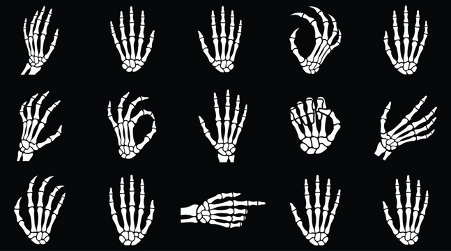 A detailed halloween vector bundle featuring various white skeleton hand gestures and bone anatomy illustrations isolated on a solid black background design