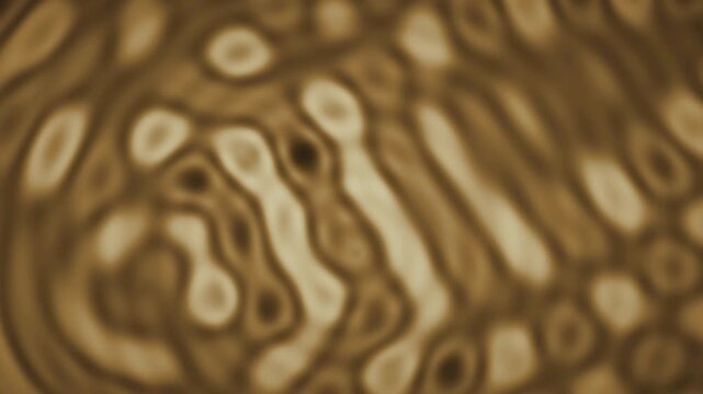 Abstract wave interference moire fringe ripple background seamless loop in rich amber tones