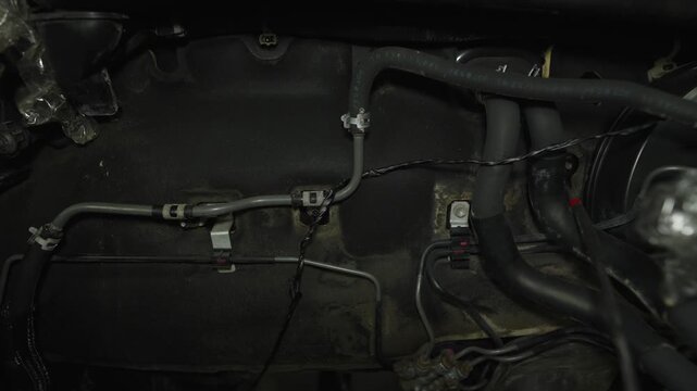 Car engine bay firewall with brake lines and vacuum hoses.