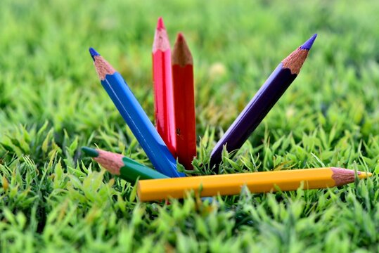 Crayons de couleur