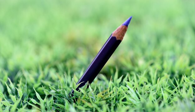 Crayon de couleur