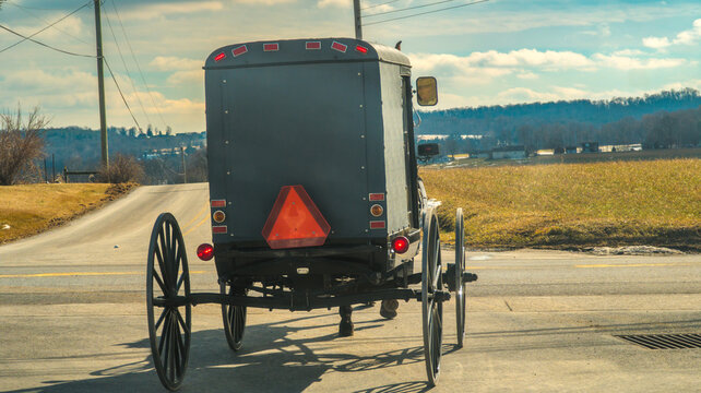 A horse and buggy move on a country road surrounded by open fields. The scene shows a clear sky with sunlight shining down. This is a common sight in rural areas.