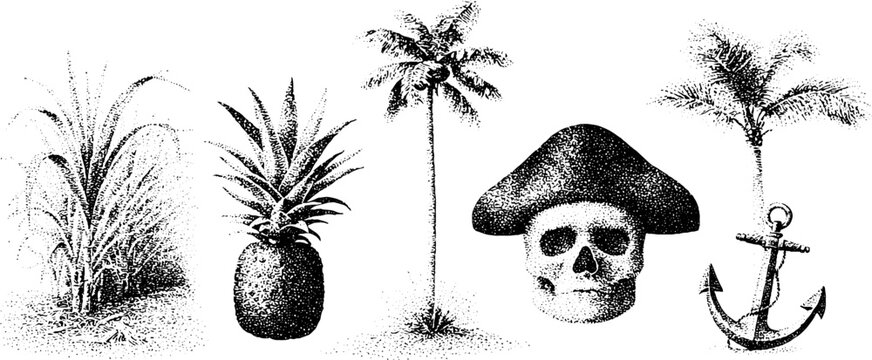 Vintage rum label collection with sugarcane pineapple palm skull and anchor for premium packaging and label design