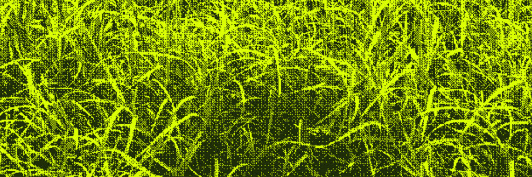 Green grass bitmap texture. Retro pixel art, green dither pattern, 8 bit background. Pixelated grass field, halftone stipple overlay, raster dots, screen tone, digital noise texture. Vector