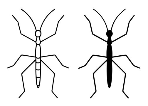 Minimalist stick bug icon in outline and solid (filled) style for UI UX app design