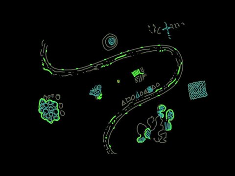 A curved line resembling a road or main pathway, adorned with various geometric elements, abstract symbols, organic shapes, and the floral patterns of futuristic organisms.