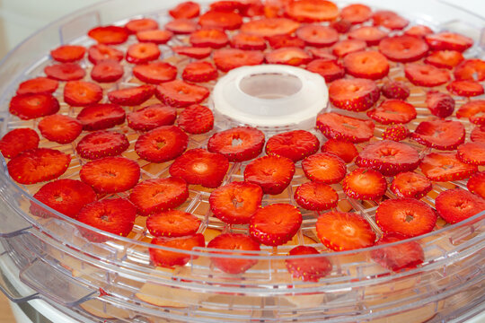 Sliced red strawberries arranged on transparent trays of an electric food dehydrator for preservation.