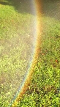 Backyard Lawn Sprinkler Spraying Water on Green Grass at Sunset Forming Beautiful Rainbow &ndash; Short Format 9:16